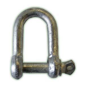 D Shackle 10mm Galvanised