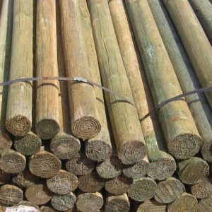 Treated Pine Pole 200-225mm Diameter x 1.8m